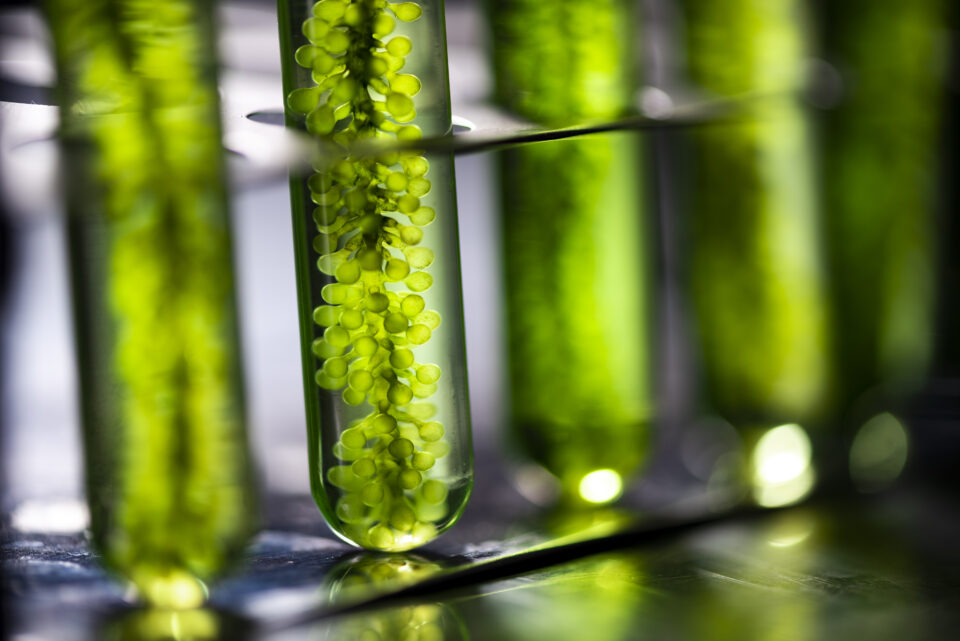 supporting pharma sustainability